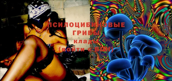 твердый Каменногорск