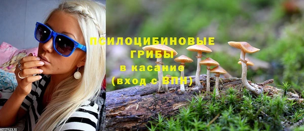 MESCALINE Карпинск