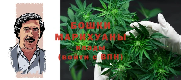ПСИЛОЦИБИНОВЫЕ ГРИБЫ Касимов