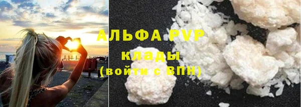 ПСИЛОЦИБИНОВЫЕ ГРИБЫ Касимов