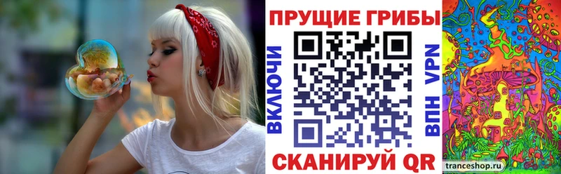 гидра онион  Кола  Псилоцибиновые грибы MAGIC MUSHROOMS  хочу наркоту 